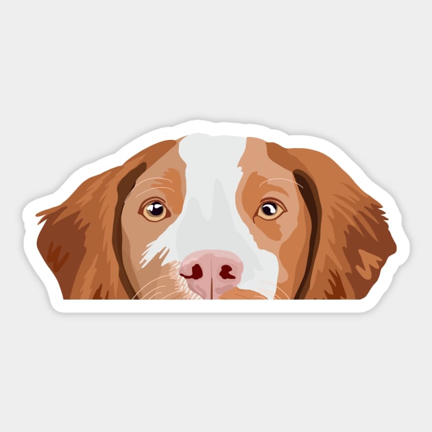 Brittany Spaniel nose Sticker by quirkyandkind